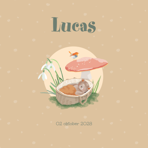 Geboortekaartje jongen met slapend beertje in mandje