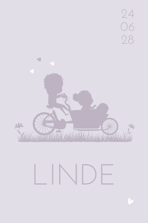 Derde kindje geboortekaartje meisje in bakfiets met broer en zus