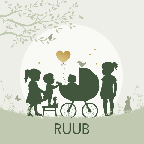 Geboortekaartje jongen 4de kind in kinderwagen broer en 2 zussen