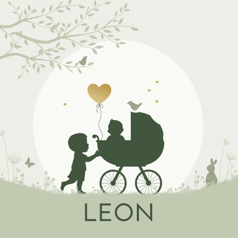 Geboortekaartje baby jongen in kinderwagen met grote broer