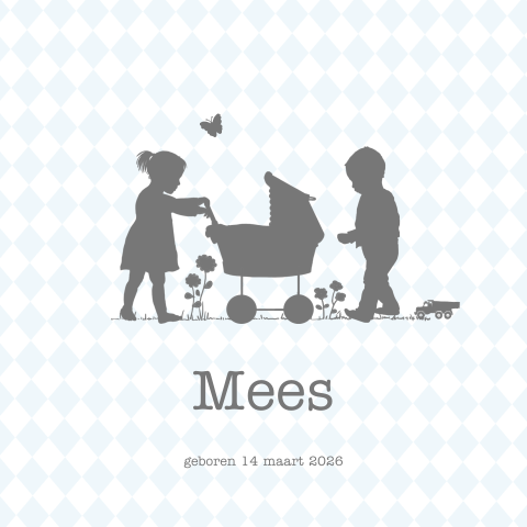 Babykaartje profiel jongen 3e kindje met zusje en broertje