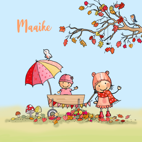 2e kind geboortekaartje babymeisje herfst met zus 