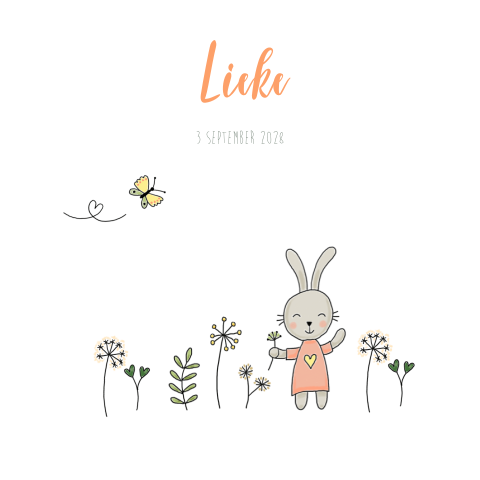 Geboortekaartje meisje konijn, vlinder en plantjes
