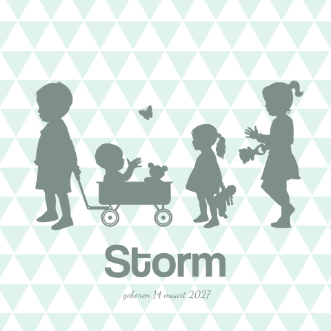 4e kindje geboortekaartje broer en zussen met broertje in kar