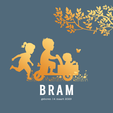 Geboortekaartje jongen 3e kindje broer en zus bakfiets