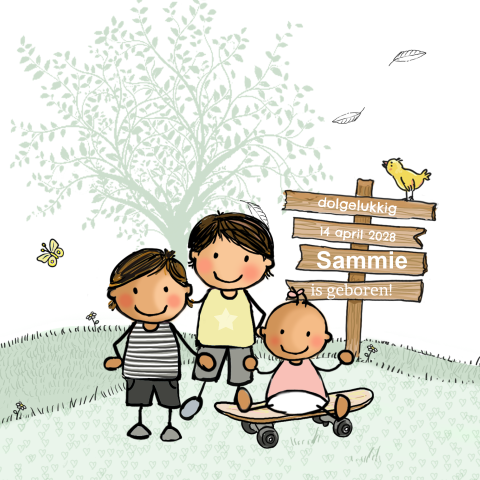 Geboortekaartje meisje derde kindje lente met 2 broers