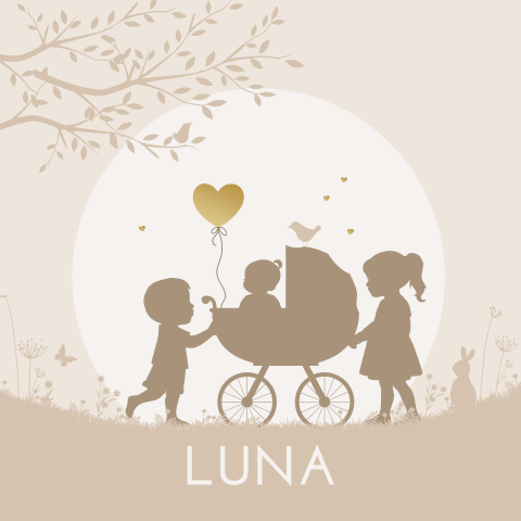 Geboortekaartje 3e kind meisje in kinderwagen met broer en zus