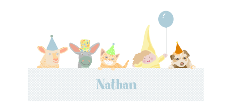 Geboortekaartje voor een jongen met diertjes en knuffels