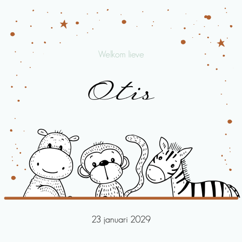 Geboortekaartje jongen met safaridieren en sterrenhemel unisex