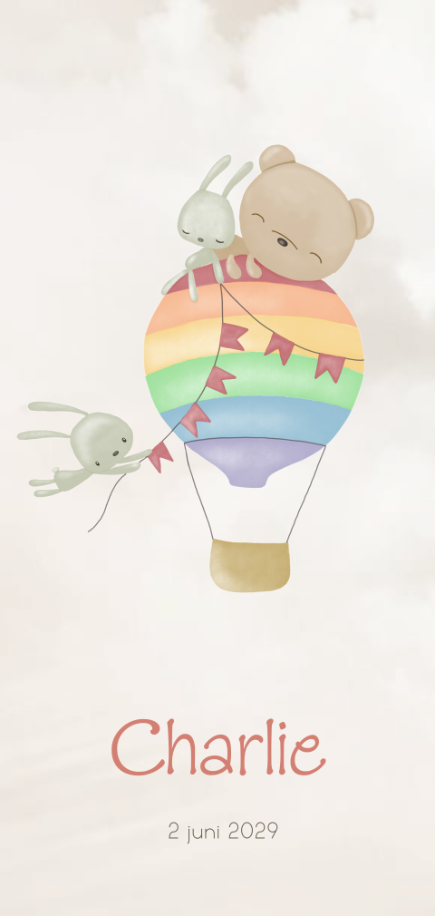 Geboortekaartje jongen meisje met luchtballon beertje en konijntje