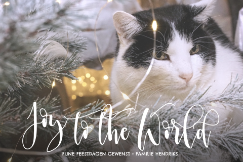 Moderne kerstkaart met foto kind of familie of huisdier