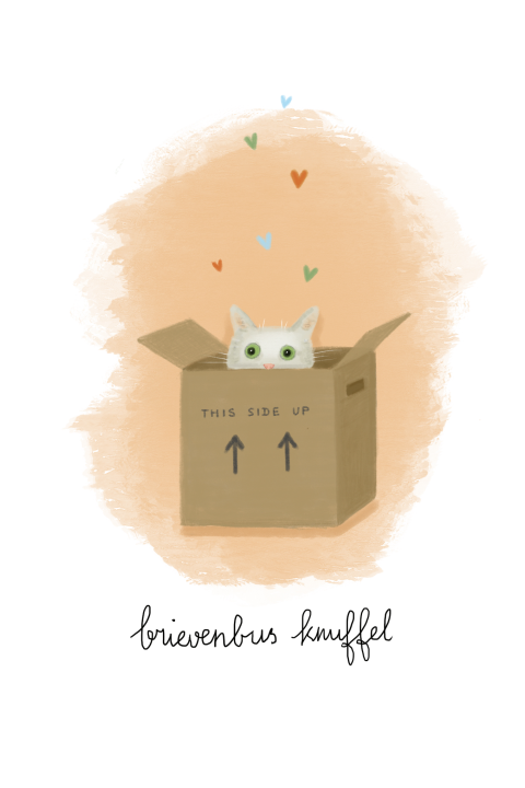 Wenskaart brievenbusknuffel kat in doos