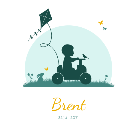 Geboortekaartje voor een jongetje in autootje en vlieger