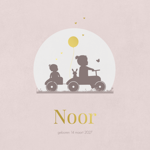 Meisjes geboortekaartje 2e kind in auto met grote zus