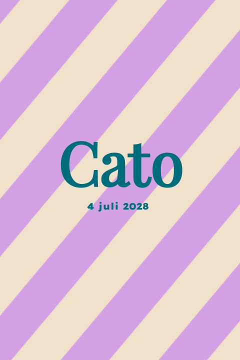 Colorblocking kleurrijk geboortekaartje meisje lila creme