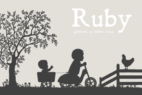 Boerderij-thema geboortekaartje broertjes scooter
