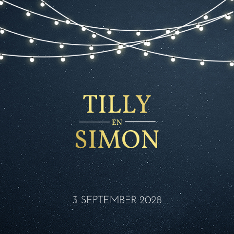 Uitnodiging bruiloft huwelijk trouwkaart met lichtjes