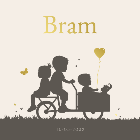 Geboortekaartje 3e kindje jongen in bakfiets met grote broer en zus