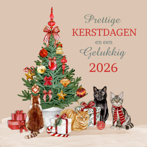 Kerstkaart kerstboom met katten en poes