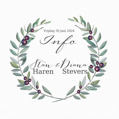 Klassieke dagprogramma tijdlijn infokaart met waterverf en olijftakken