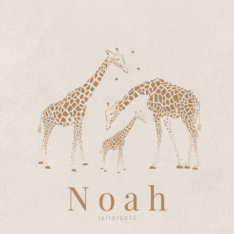 Geboortekaartje jongen giraf met ouders