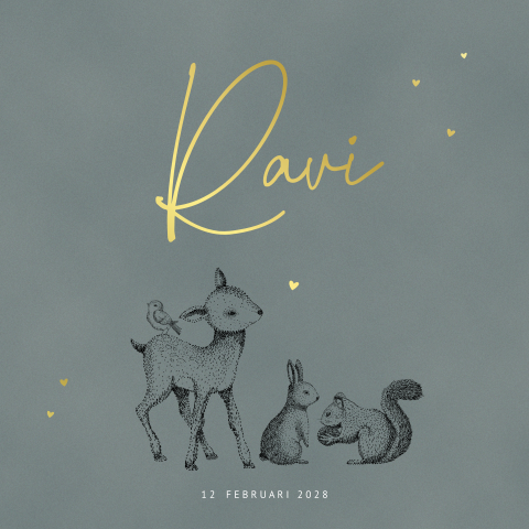 Geboortekaartje bosdieren jongen groen met goudfolie bos