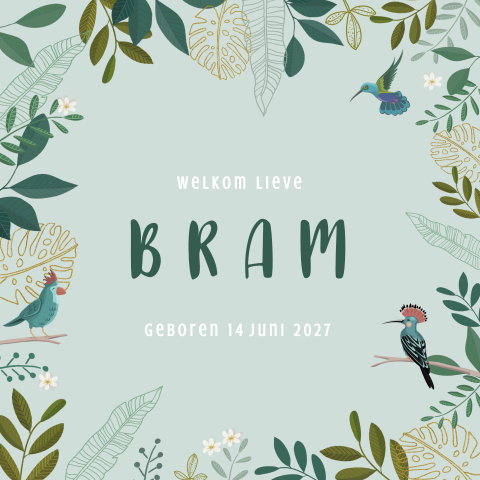 Geboortekaartje takjes met vogels jongen