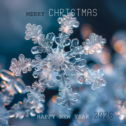 Zakelijke Kerstkaart IJskristal