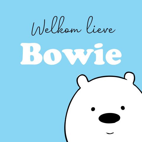 Geboortekaartje ijsbeer voor een jongen vrolijk blauw