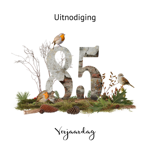Uitnodiging verjaardag 85 het bos en heide