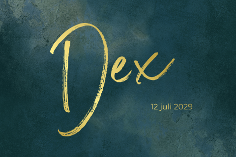 Stoer geboortekaartje jongen donkerblauw Dex