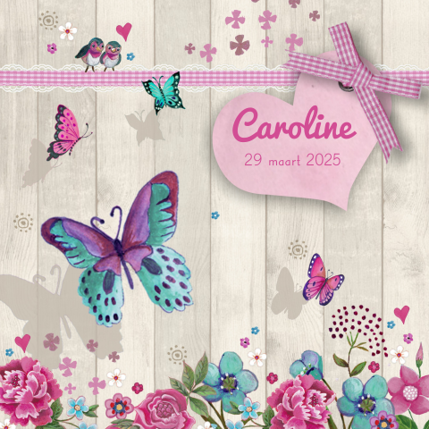 Vlinders geboortekaartjes voor meisjes met grijs hout