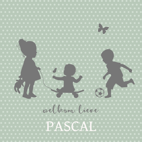 Geboortekaartje jongen met skate 3e kindje