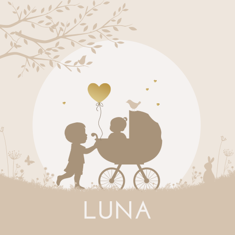 Geboortekaartje tweede kindje meisje in kinderwagen met grote broer