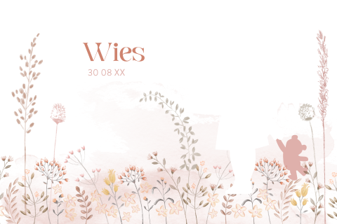 Schattig stans geboortekaartje met silhouet als doorkijkje en bloemen