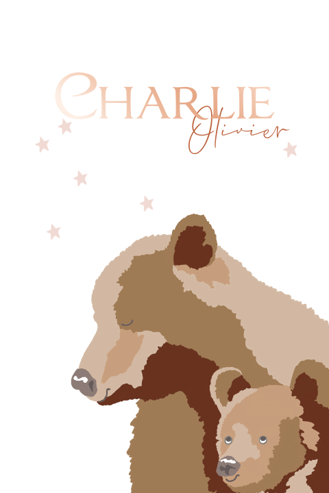 Geboortekaartje meisje jongen met 2 beren