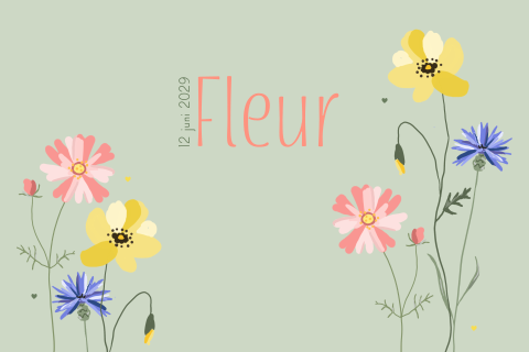 Meisjes geboortekaartje met zomerse bloemen