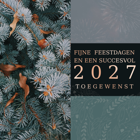 Kerstkaart met takjes en vuurwerk foliedruk