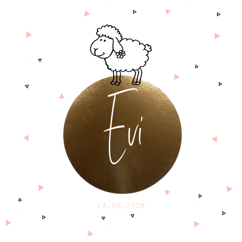 Leuk geboortekaartje meisje met driehoekjes en schaap