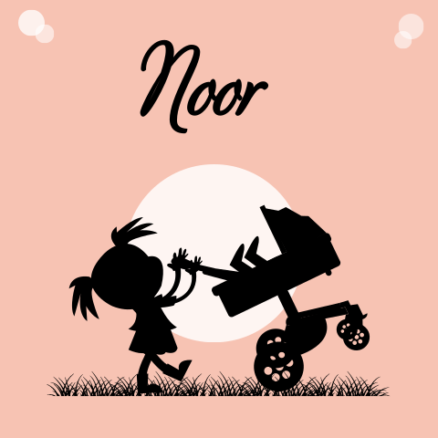 Geboortekaartje meisje kinderwagen grote zus silhouet