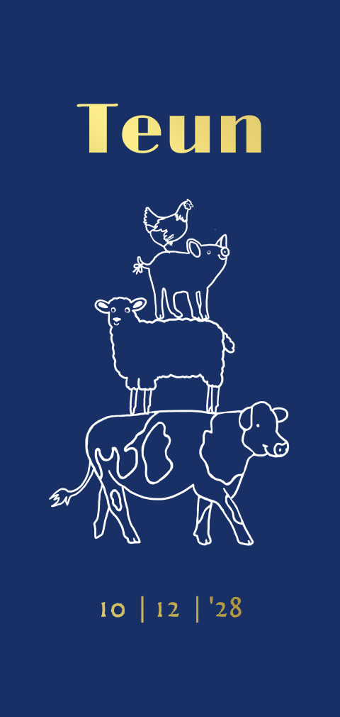 Geboortekaartje jongen met boerderijdieren op een stapel