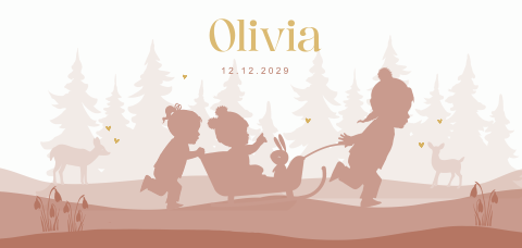 Geboortekaart meisje 3e kindje in een slee