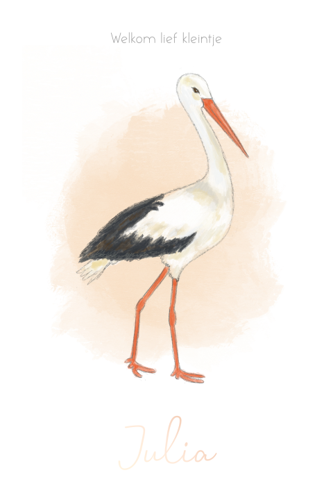 Geboortekaartje ooievaar meisje met foliedruk