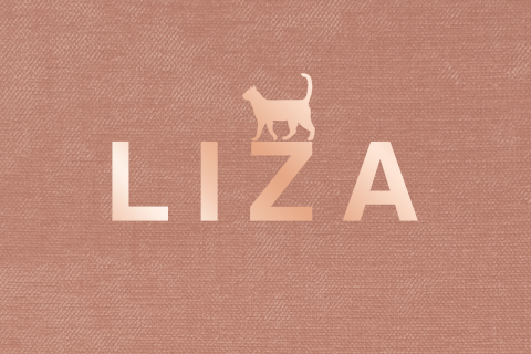 Meisjes geboortekaart velours-look achtergrond met foliedruk naam