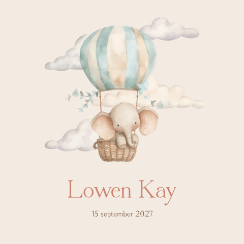 Geboortekaartje jongen meisje met olifant in luchtballon
