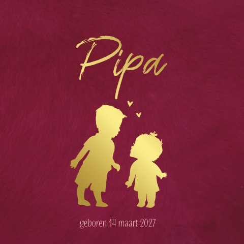 Geboortekaart 2de kindje baby meisje en broer structuur rood