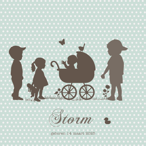 Profiel geboortekaartje jongen vierde kindje broer