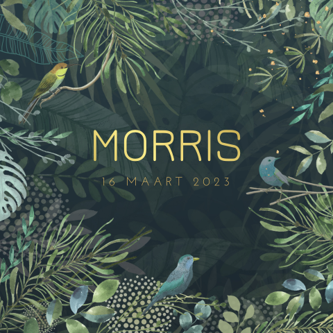 Geboortekaartje jongen met takjes met vogels goudfolie