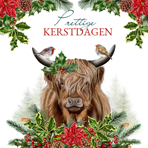 Warme kerstkaart met hooglander en roodborstjes