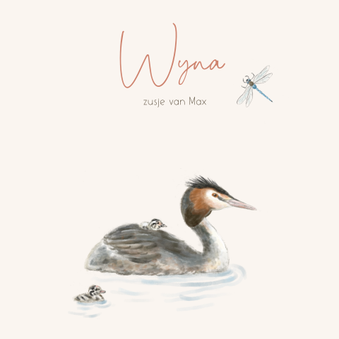 Geboortekaartje 2e kindje fuut met twee jongen